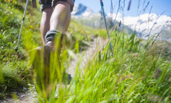 Nordic Walking in schöner Umgebung